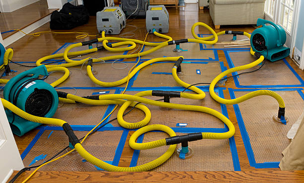 Professional Water Damage Restoration technician working in Millington, IL